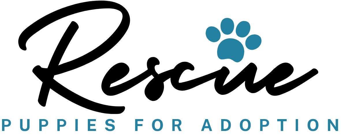 Rescue Puppies For Adoption